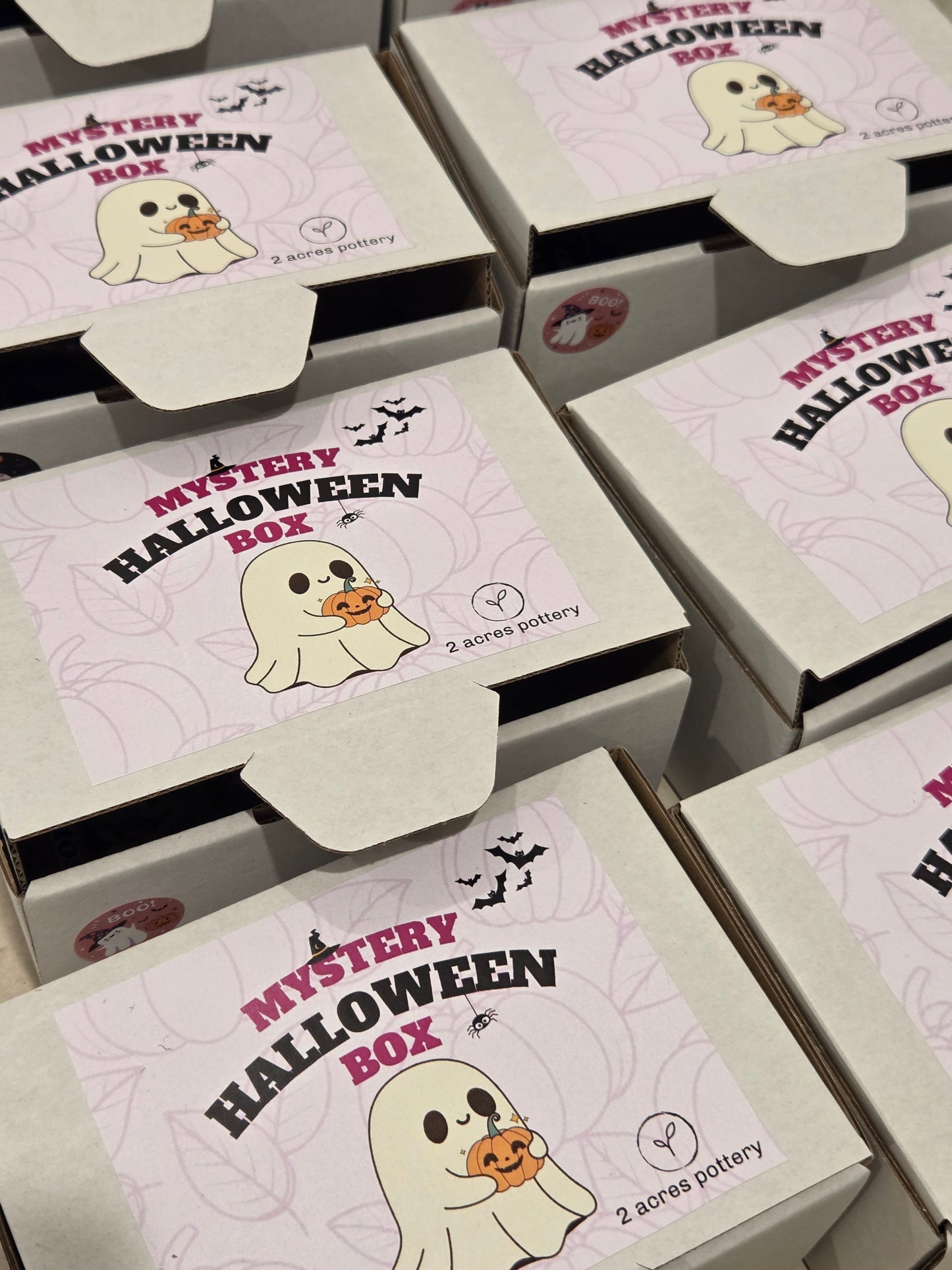 Reserved for Hayley - Halloween Mystery Box