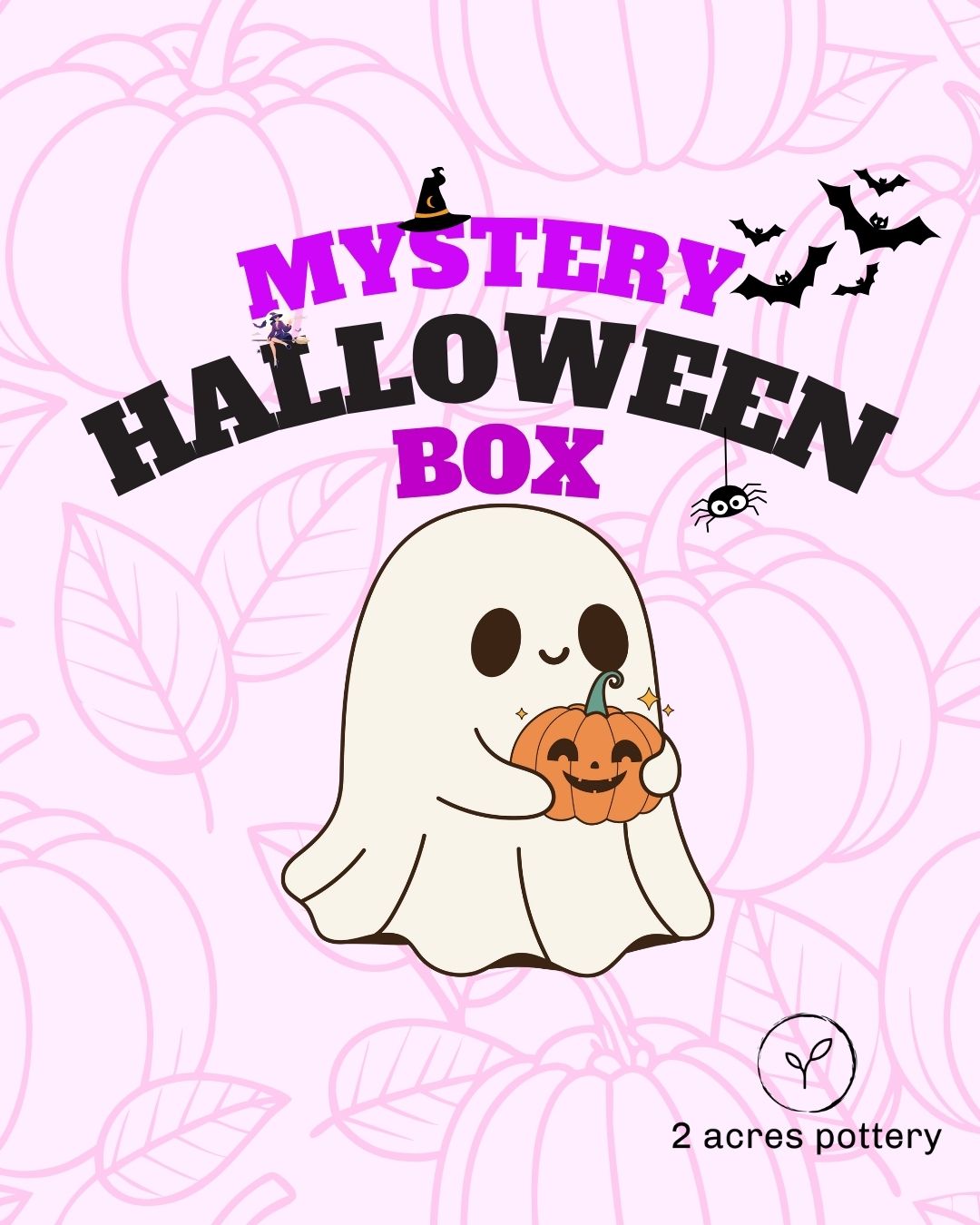 Reserved for Hayley - Halloween Mystery Box
