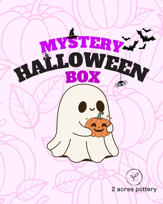 Reserved for Hayley - Halloween Mystery Box